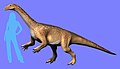 Riojasaurus