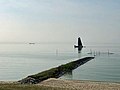 IJsselmeer