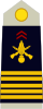 Colonel