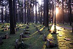 Vignette pour Cimetière boisé de Stockholm