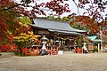 大和国 竜田坐天御柱国御柱神社二座 （現・龍田大社）