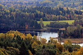 Vaskna järv