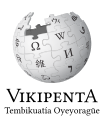 Wikipedia logo in Guarani