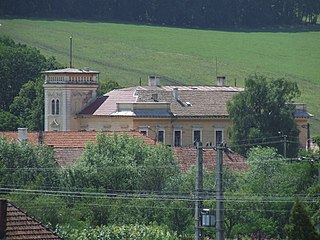 Borşa castle