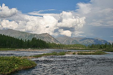 Баргузин в Амутской котловине