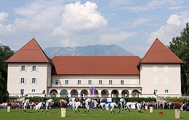 Brdo Castle