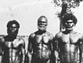 Image 16Men from Bathurst Island, 1939 (from Aboriginal Australians)