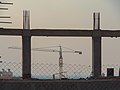 Thumbnail for File:Cranes in Iran-Qom City &amp; Province-Photo by Mostafa Meraji 03.jpg