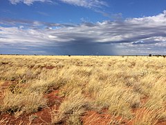 Desierto de Gibson