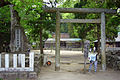 熊野三所大神社 鳥居