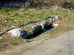 Source de Saint-Jean-de-Barrosse : la dernière à couler.