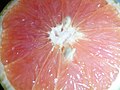 Pink Grapefruit