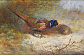 Pheasants. Signed and dated A.Thorburn 1918. Watercolour. 20 x 29 cm