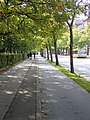 Sidewalks and bike lane at the university campus