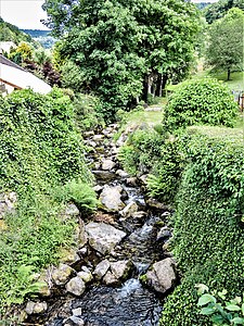 Ruisseau le Linthalbach, dans le village.