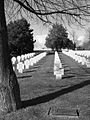 Gräber auf dem Soldatenfriedhof Bergheim