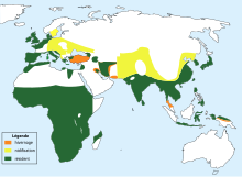      Breeding      Year-round      Winter