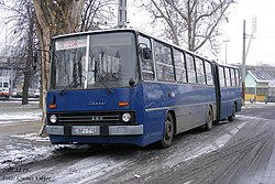 254-es busz a Népligetben