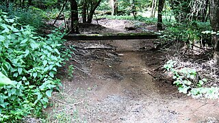 Perte de la Laigne en forêt de Puits.