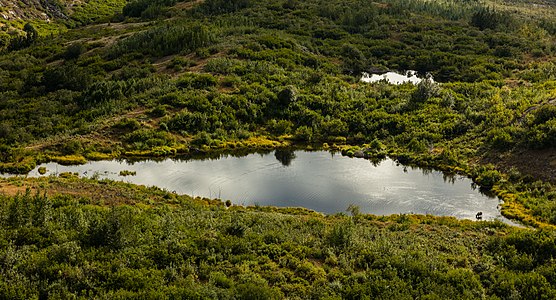 "Parque_estatal_Chugach,_Alaska,_Estados_Unidos,_2017-08-22,_DD_68.jpg" by User:Poco a poco