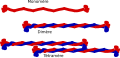 Constituants d'un filament intermédiaire.