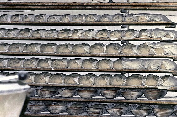 Loafs of bread ready to be baked in a bakery in Aalen, Baden-Württemberg, Germany