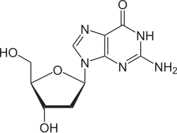 Strukturformel von Desoxyguanosin