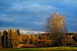 Haanjamaa maastik. Plaani-Kündja tee