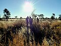 Sanfolk på jakt i Nyae Nyae i Namibia. Foto: David Barrie