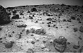 The left of the two forward cameras aboard Sojourner imaged this area of Martian terrain on Sol 26. The large rock dubbed "Pooh Bear" is at far left, and stands between four and five inches high. Mermaid Dune is the smooth area stretching horizontally across the top quarter of the image. The Alpha Proton X-Ray Spectrometer (APXS) instrument aboard Sojourner will be deployed on Mermaid Dune, and the rover will later use its cleated wheels to dig into it. This image and PIA01553(right eye) make up a stereo pair. Mars Pathfinder is the second in NASA's Discovery program of low-cost spacecraft with highly focused science goals. The Jet Propulsion Laboratory, Pasadena, CA, developed and manages the Mars Pathfinder mission for NASA's Office of Space Science, Washington, D.C. JPL is an operating division of the California Institute of Technology (Caltech). The IMP was developed by the University of Arizona Lunar and Planetary Laboratory under contract to JPL. Peter Smith is the Principal investigator.