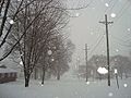 Clarinda sous la neige - Décembre 2009