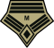 Master Sergeant