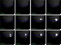 mages of impact taken with the medium resolution imager. The blue dotted line is the position of the spectrometer's slit. At each point along the slit, a spectrum exists that contains information about the constituents in the spectrometer's field of view.