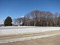 下野国分寺