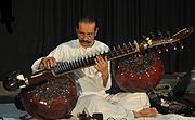 Rudra vina, instrumento musical de cuerdas tradicional en India, con 2 tumbas, resonadores hechos de 2 calabazas de Lagenaria siceraria. De aspecto similar es la vichitra vina, también con 2 tumbas de calabaza.