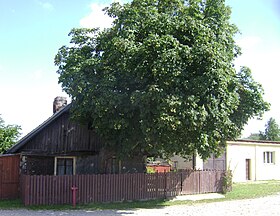 Cieciszew