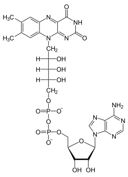 Stereo, Kekulé, skeletal formula of FAD