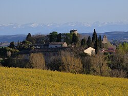 Skyline of Puginier