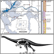 February 24: skeleton and range map of the dinosaur Seitaad