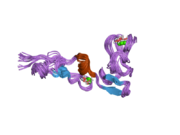 1z6c: Solution structure of an EGF pair (EGF34) from vitamin K-dependent protein S