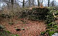 Reste des Bergfrieds der Burg Weisdin