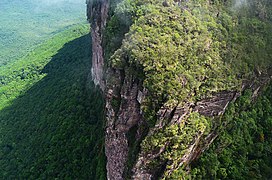 Auyantepui en el Parque Nacional Canaima.