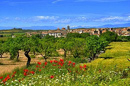 Tarroja de Segarra – Veduta