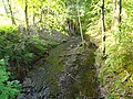 Der Kappelbach im Harz vor Neustadt