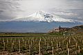 Blick übere Chor Virap (Armenie) zum Ararat.