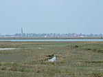 Panorama de la lagune.