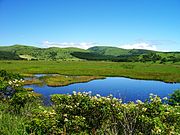 Yashima Wetland in Kirigamine Hill