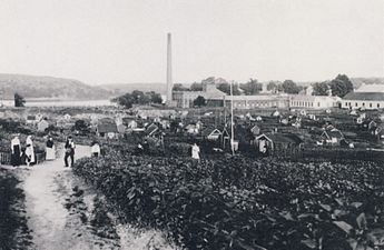 Barnängens koloniträdgård 1915.