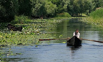 Delta Dunării