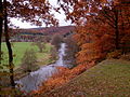 El río en otoño.